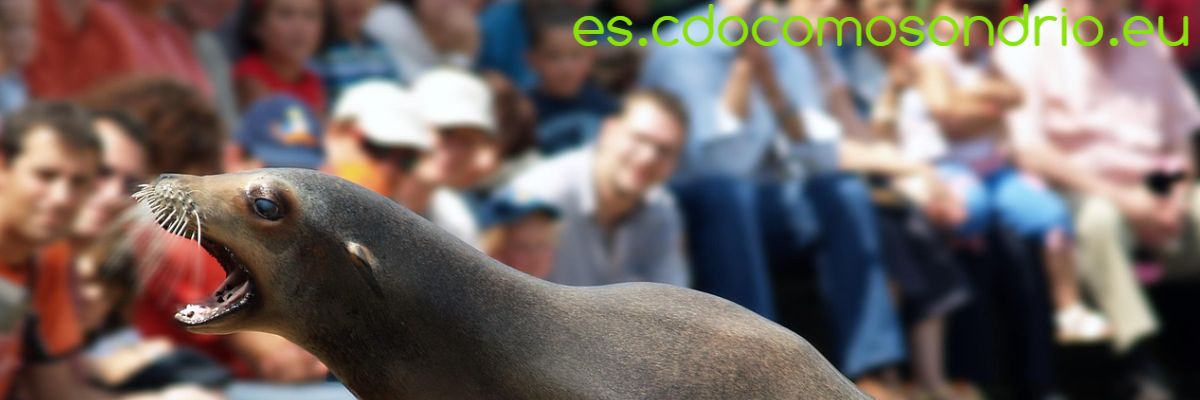 es.cdocomosondrio.eu